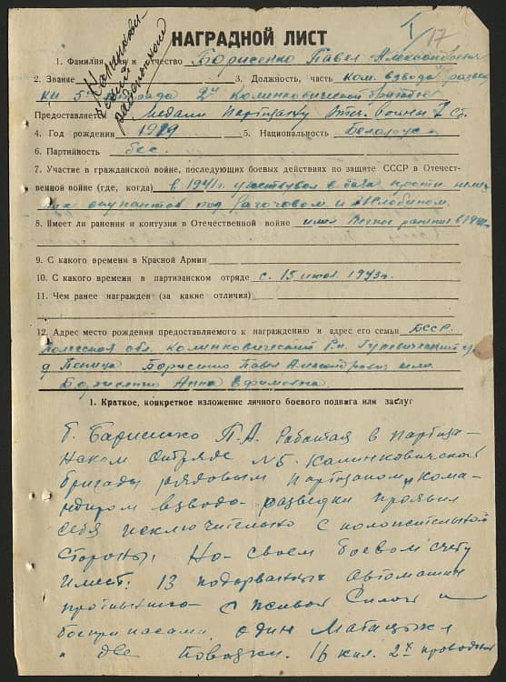 Борисенко Павел Александрович Документ 1