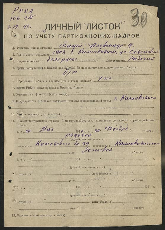 Бадей Александр Ф Документ 1