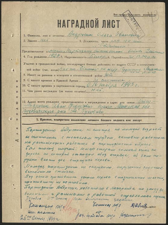 Андросик Ольга Ивановна Документ 1