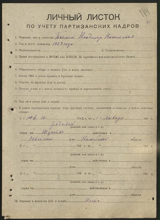 Бахмет Владимир Васильевич Документ 1