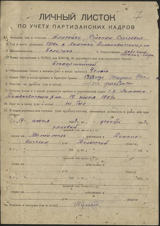 Алисейко Степан Сергеевич Документ 1