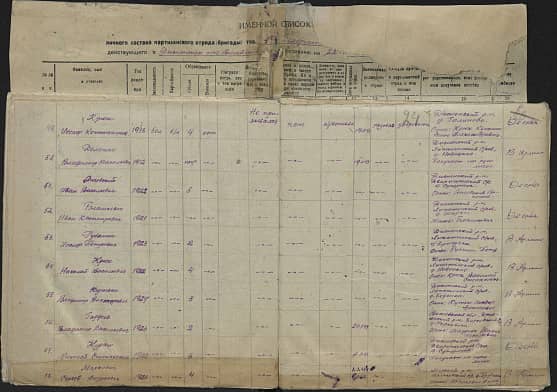 Демешко Владимир Васильевич  Документ 1