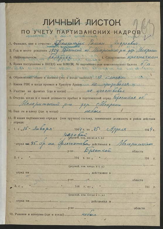 Димитрук Роман Андреевич Документ 1