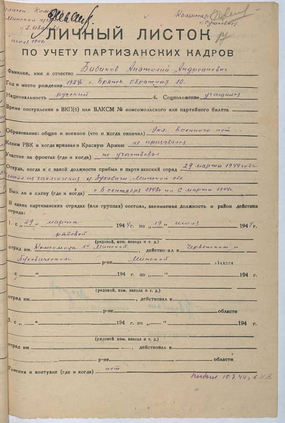 Бибиков Анатолий Андрианович Документ 1