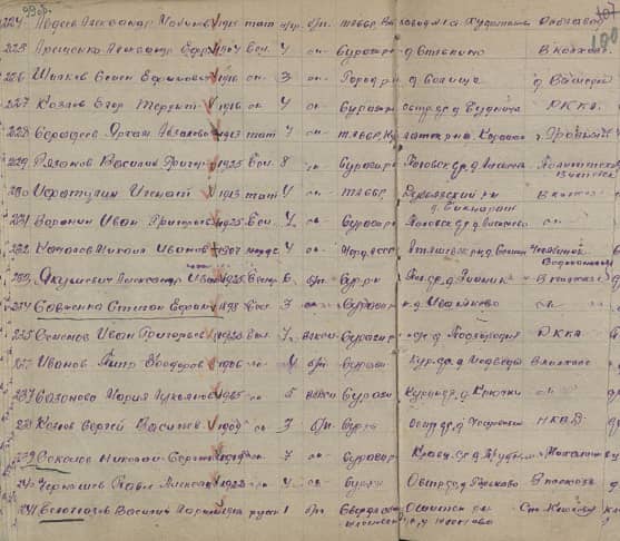 Авдеев Александр (Садык) Мубинович Документ 1