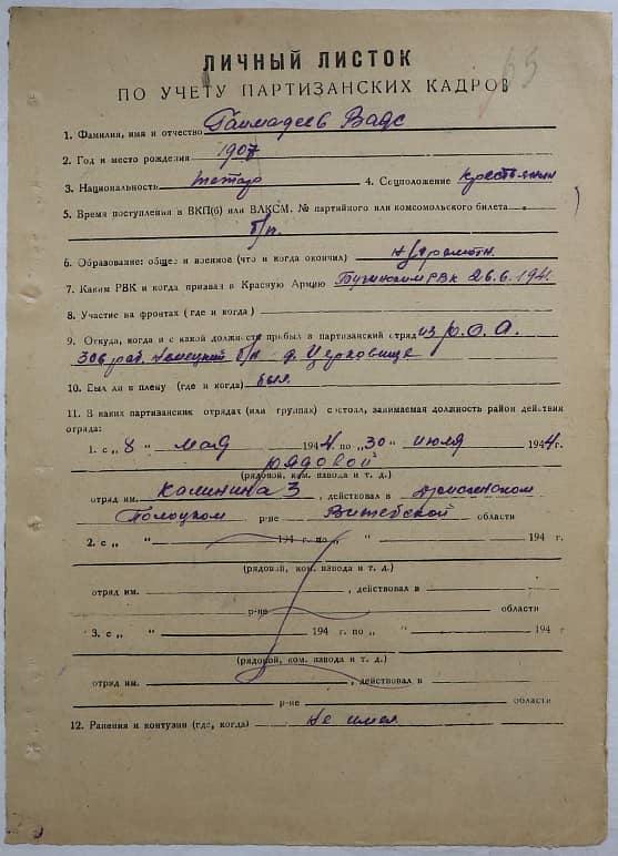 Гаймадеев Ваяс  Документ 1