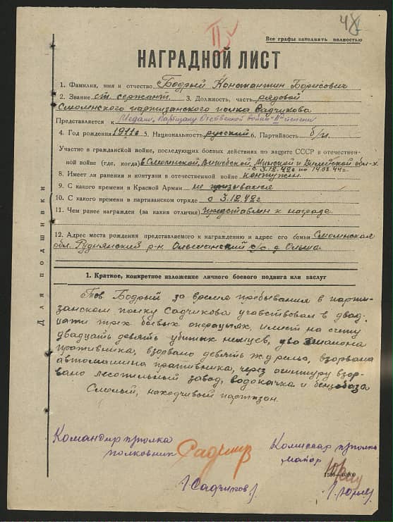 Бодрый Константин Борисович Документ 1