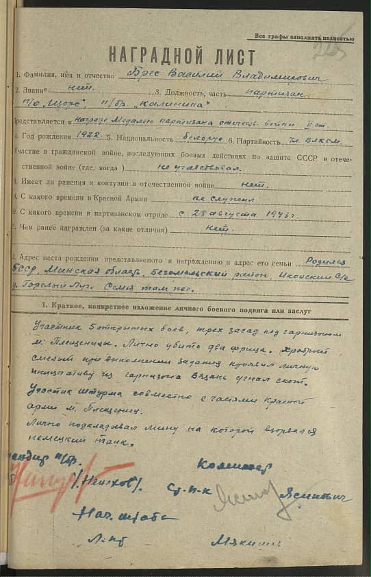 Брес Василий Владимирович Документ 1