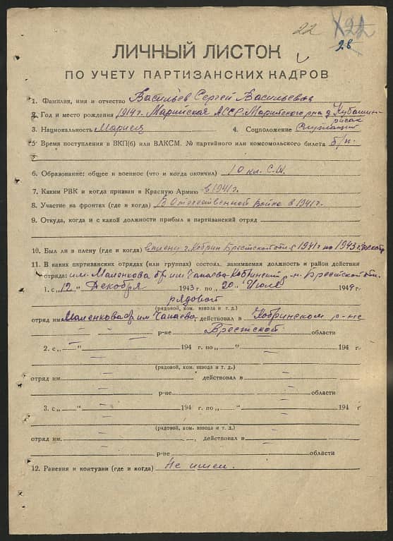 Васильев Сергей Васильевич Документ 1