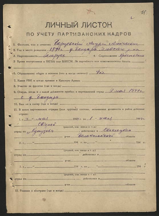 Борщевский Андрей Алексеевич Документ 1