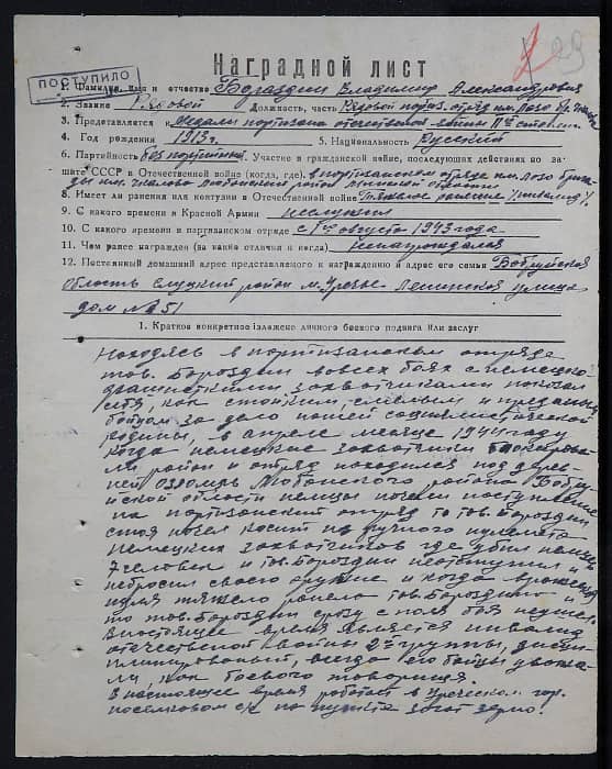 Бораздин Владимир Александрович Документ 1