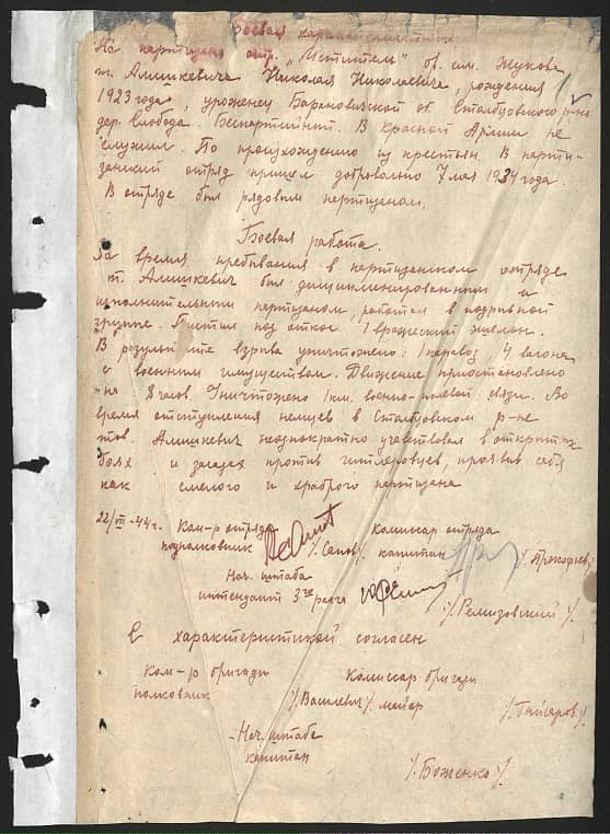 Алишкевич Николай Николаевич Документ 1