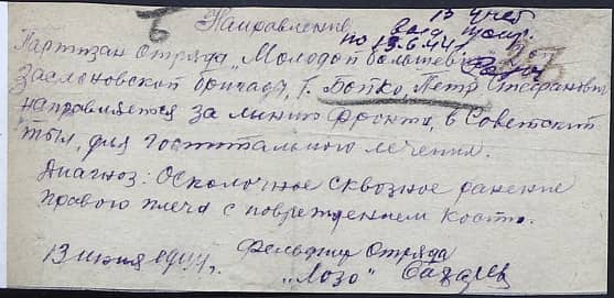 Бойко Петр Стефанович Документ 1