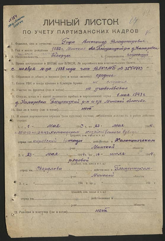 Гиро Александр Владимирович Документ 1