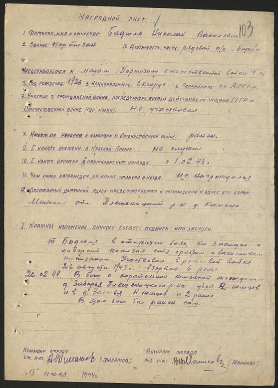 Бадюля Николай Васильевич Документ 1