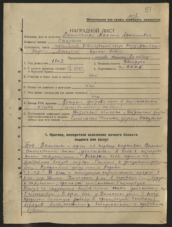 Денисенко Максим Артемович Документ 1