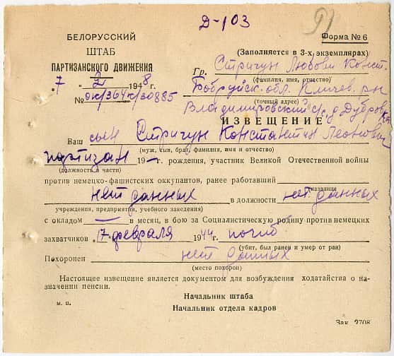 Стригун Константин Леонович Документ 1