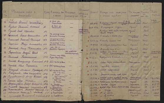 Гулиадин  Дмитрий  Игнатьевич  Документ 1