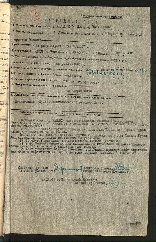 Баяшко Василий Викторович Документ 1