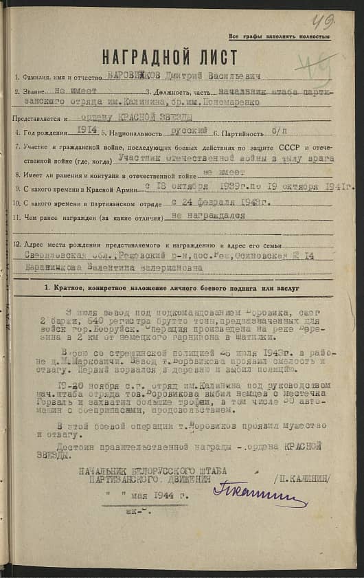 Боровиков Дмитрий Васильевич Документ 1