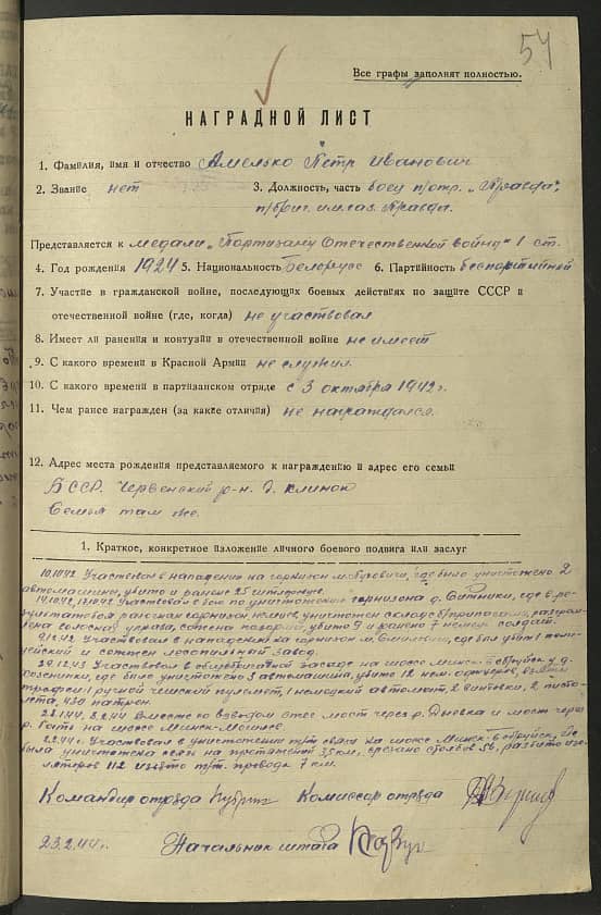 Амелько Петр Иванович Документ 1