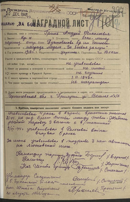 Гринь Андрей Николаевич Документ 1