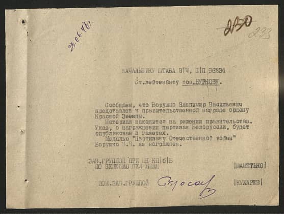 Борушко Владимир Васильевич Документ 1