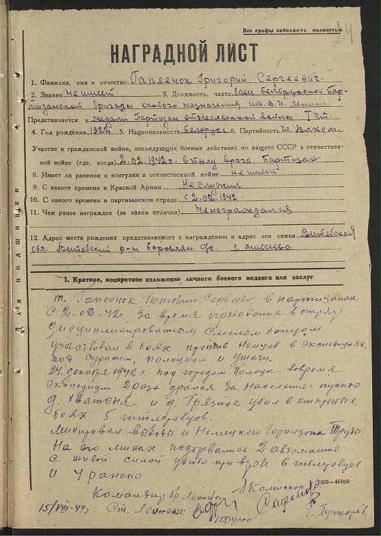 Гапеенок Григорий Сергеевич Документ 1