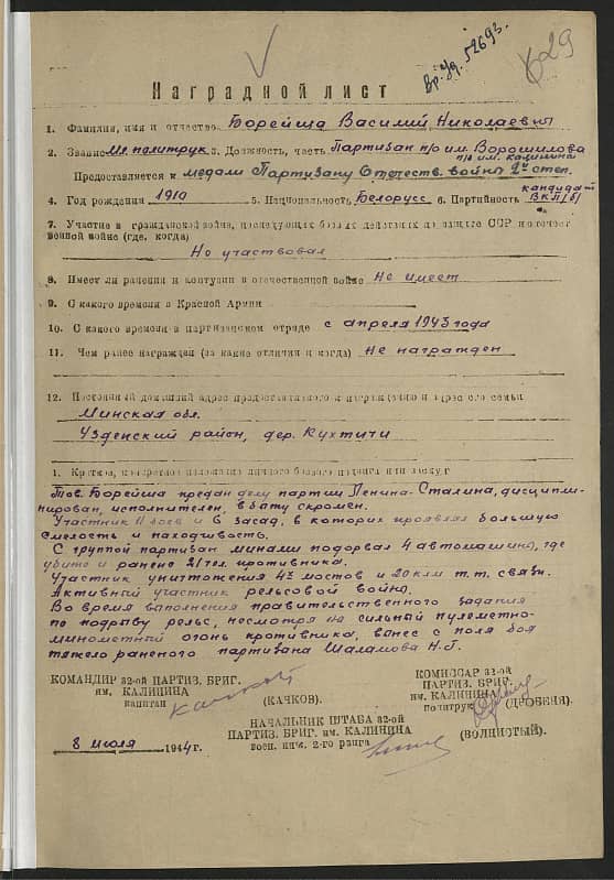 Борейша Василий Николаевич Документ 1