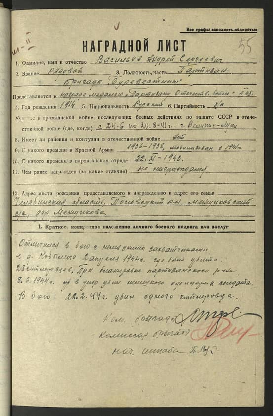 Васильев Андрей Сергеевич Документ 1