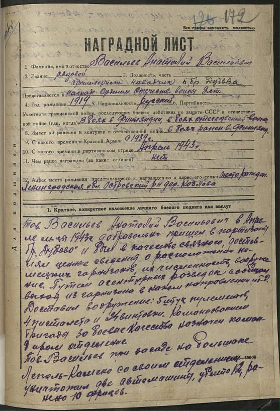 Васильев Анатолий Васильевич Документ 1