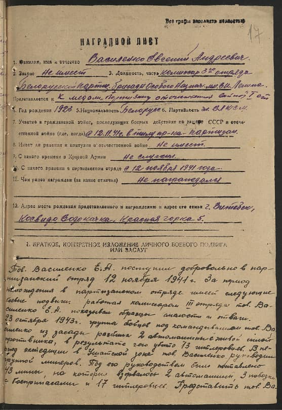 Василенко Евгений Андреевич Документ 1