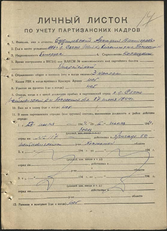 Будилевский Аркадий Викторович Документ 1