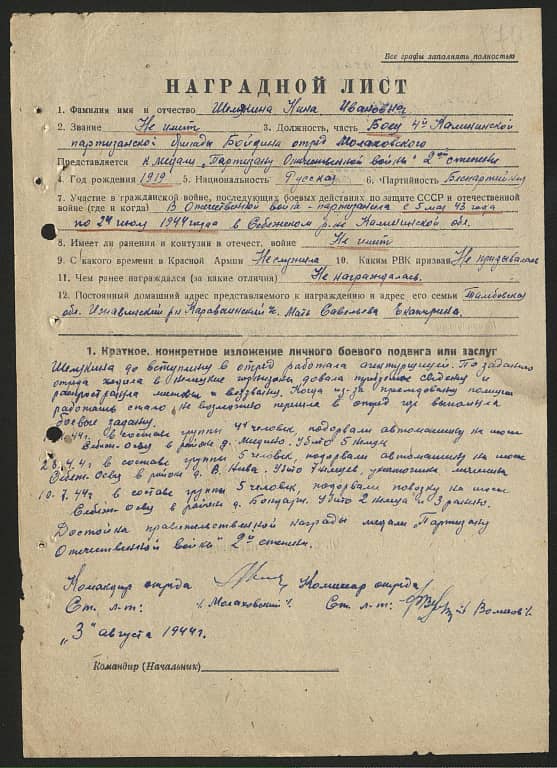 Шелякина Нина Ивановна Документ 1