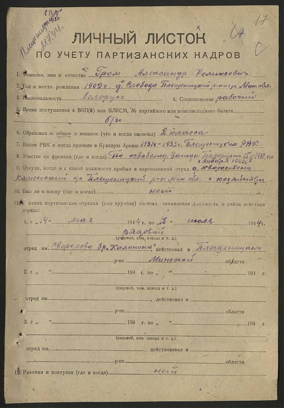 Гром Александр Феликсович Документ 1