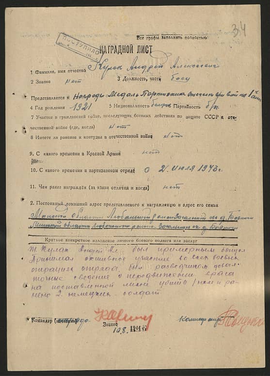 Кулак Андрей Алексеевич Документ 1