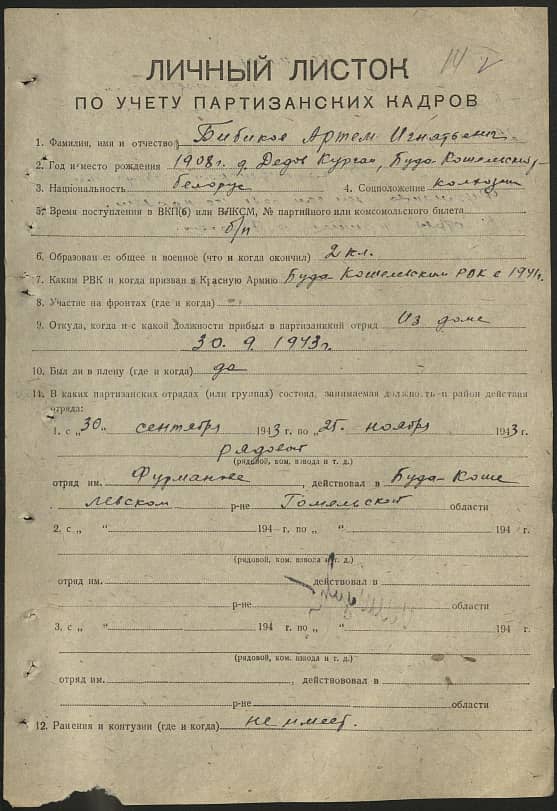 Бибиков Артем Игнатьевич Документ 1