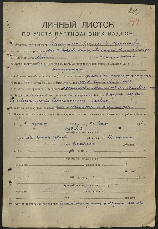 Батурин Григорий Николаевич Документ 1