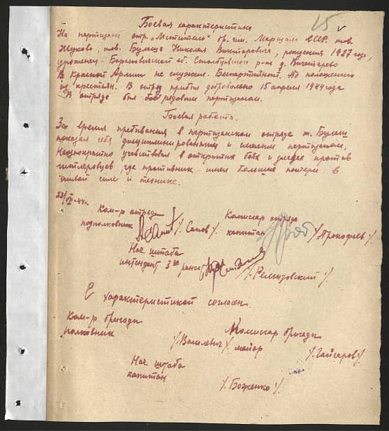 Булаш Николай Викторович Документ 1