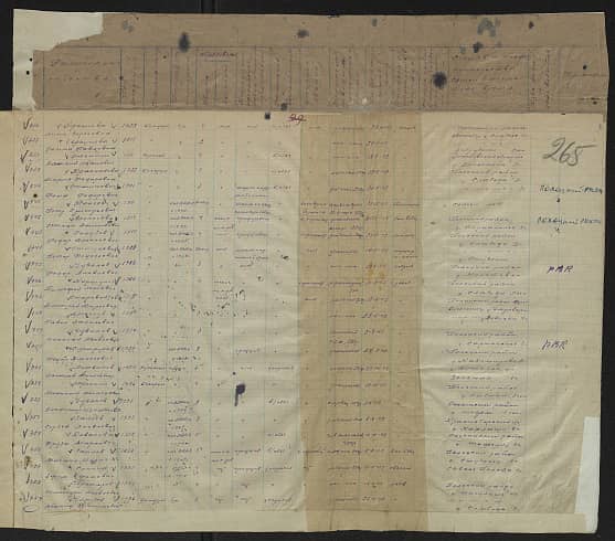 Бардова Ира Ивановна Документ 1