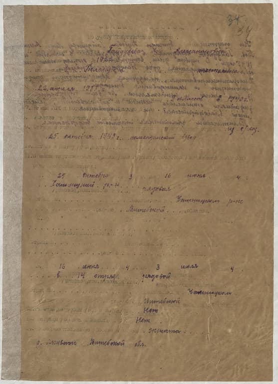 Гайдукова Лида Александровна Документ 1