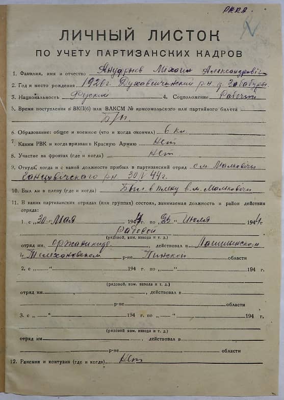 Ануфриев Михаил Александрович Документ 1