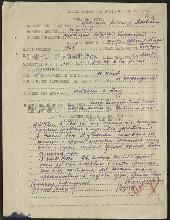 Капышко Александр Яковлевич Документ 1