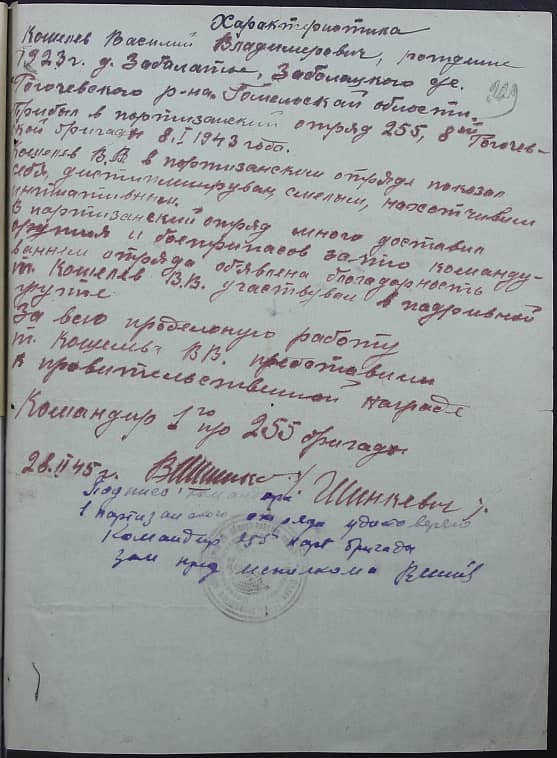 Кошелев Василий Владимирович Документ 1