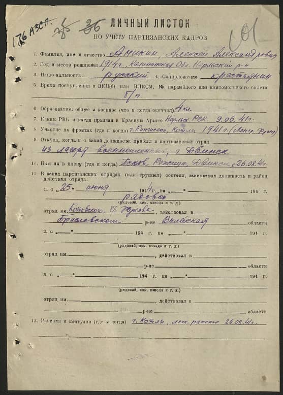 Аникин Алексей Александрович Документ 1