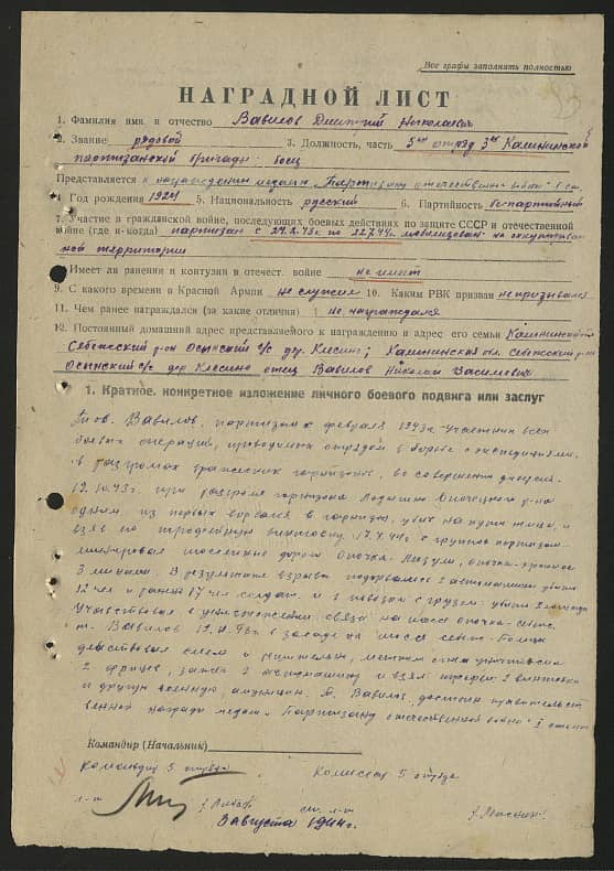 Вавилов Дмитрий Николаевич Документ 1