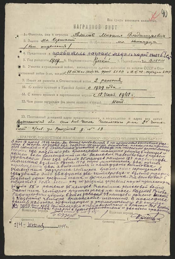 Алимов Михаил Владимирович Документ 1