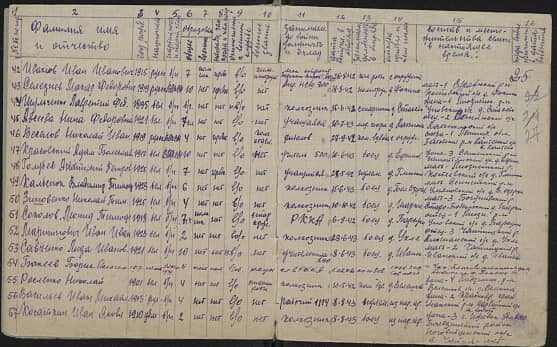 Авсеева Нина  Федоровна  Документ 1