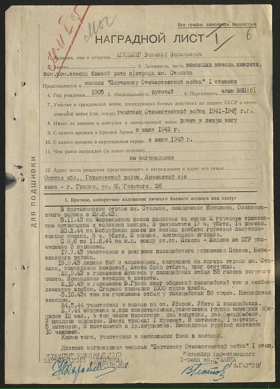 Агудалин Василий Васильевич Документ 1