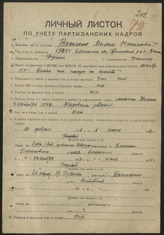 Васильков Михаил Николаевич Документ 1